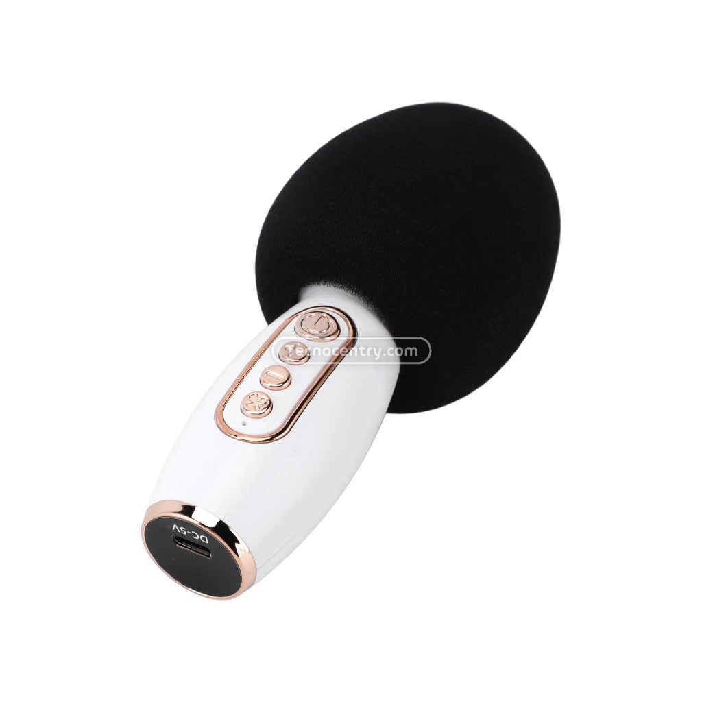 Kit Parlante Karaoke+Micrófono Bluetooth Para Niños LS-T6 Blanco - Image 4